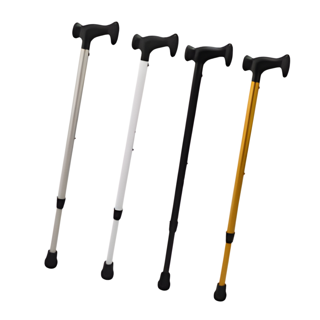 walking stick